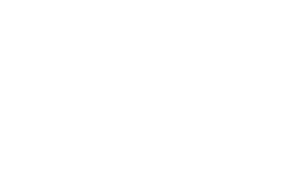 Arroyo Gestión
